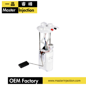 EM10203 Fuel pump assembly A30900 byd