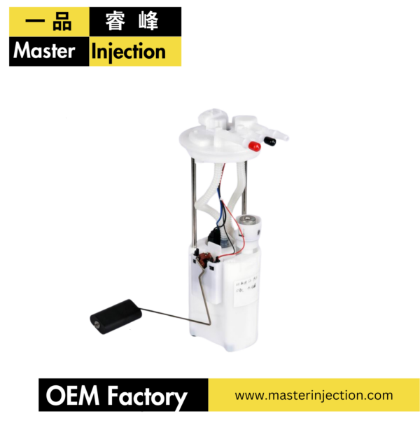 EM10203 Fuel pump assembly A30900 byd